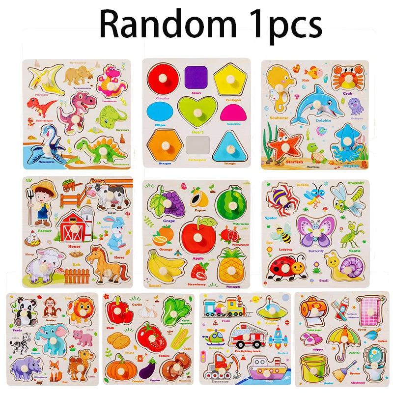 Montessori Wooden Puzzle Collection